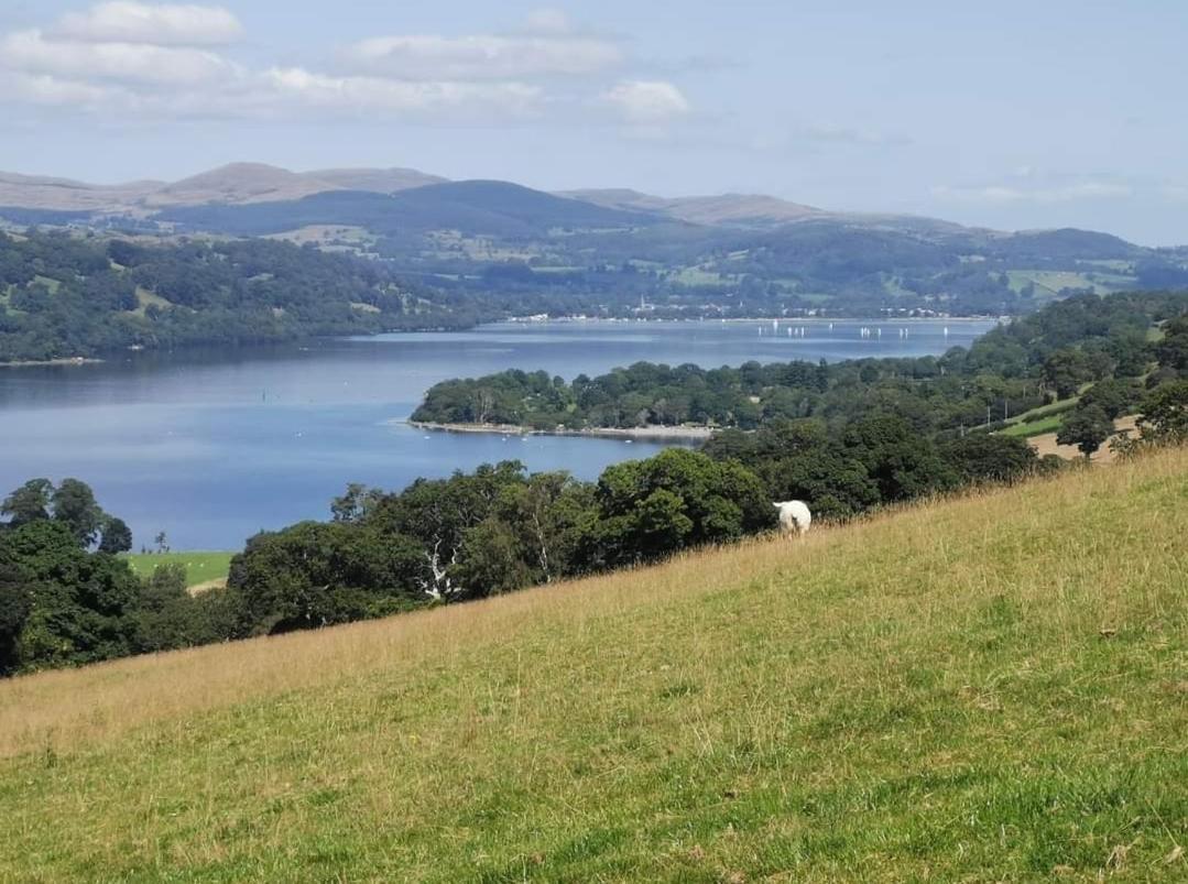 Lake View Farmhouse Escape Bala Exteriér fotografie